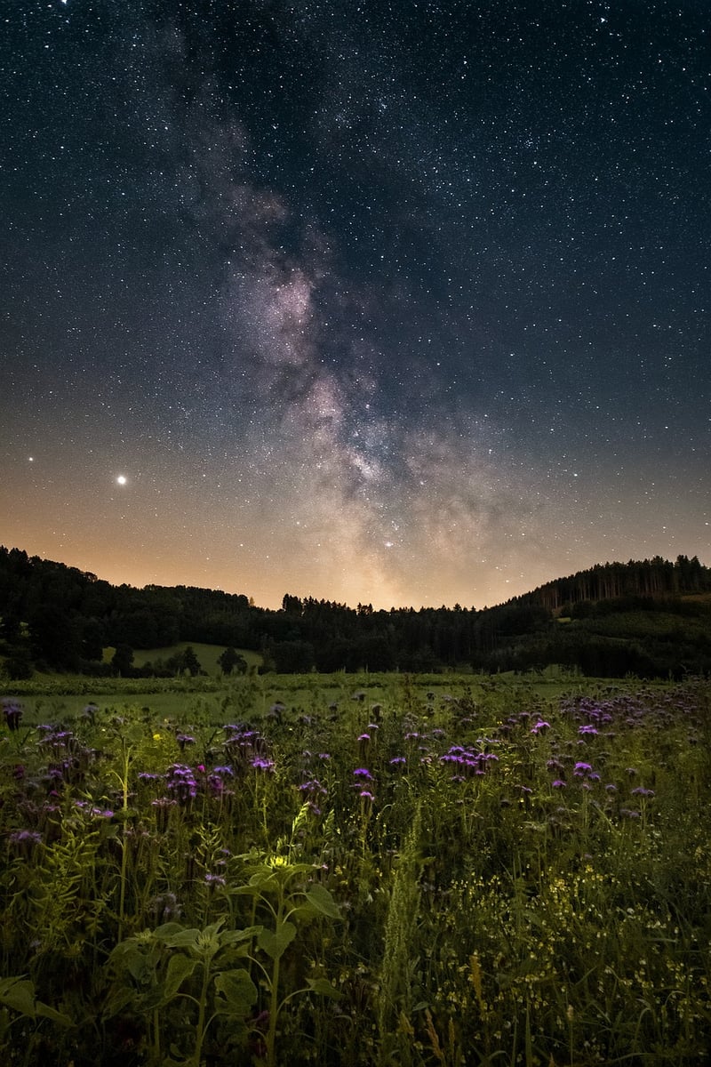 Galactic Journeys